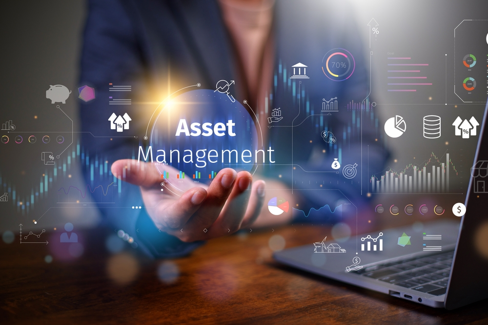 What Is an IT Asset Manager: Roles and Responsibilities