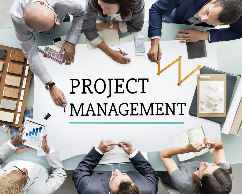 Project Manager vs. Project Officer: How Are Their Roles Different?
