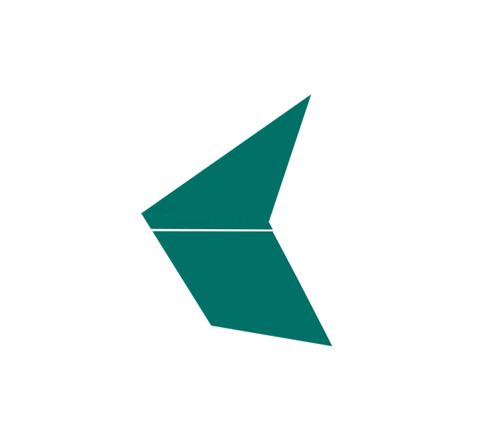 Certified AI Strategy Leader (CAISL)