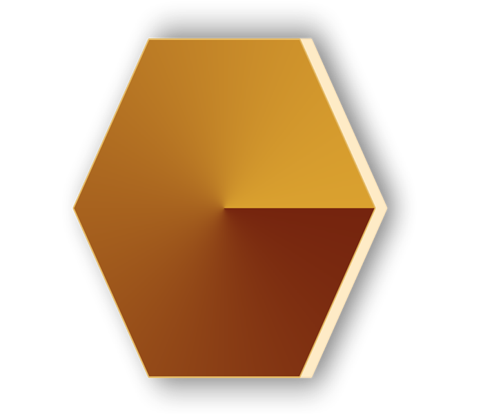 Data Governance & Privacy Manager (DGPM)