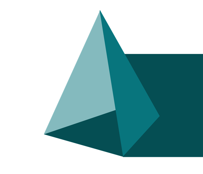 IT Management Leadership Professional (ITMLP)